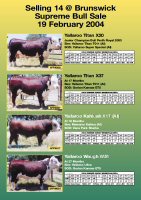Yallaroo 2004 PDF Brochure