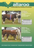 Yallaroo 2004 PDF Brochure